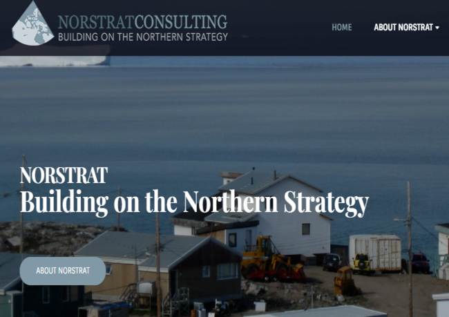 NORSTRAT Consulting – Main Purpose, Major Focus, Services
