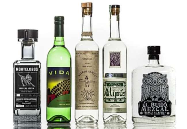 6 Best Mezcal Brands to Try - Difference Between Mezcal and Tequila