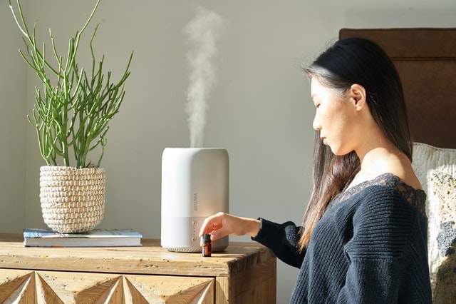 Must-Know Purpose of the Humidifier Mist