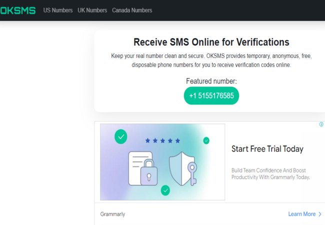 OKSMS Way to Verify Numbers Online: Features, Alternative, Pros & Cons