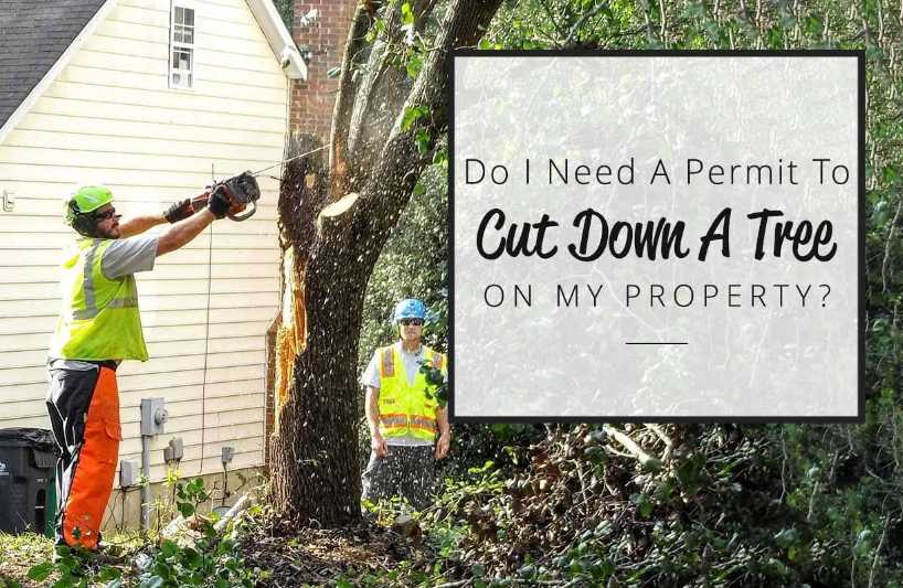 Do I need a permit to cut down a tree on my property?