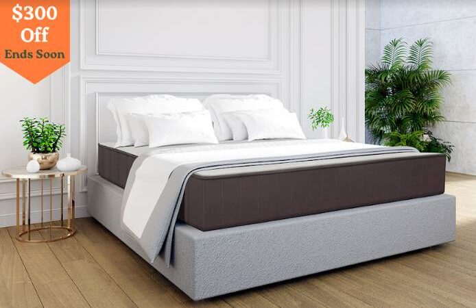 Body Pillows and Honey Hybrid Mattresses: The Perfect Sleep Solution