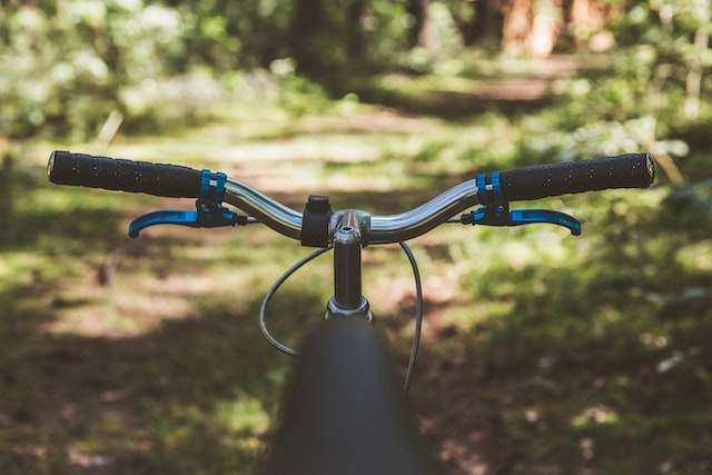 Handlebars and Saddle