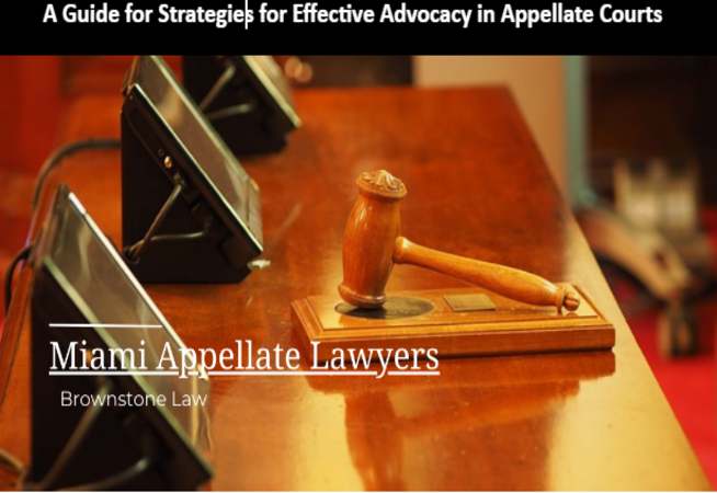 A Guide for Strategies for Effective Advocacy in Appellate Courts