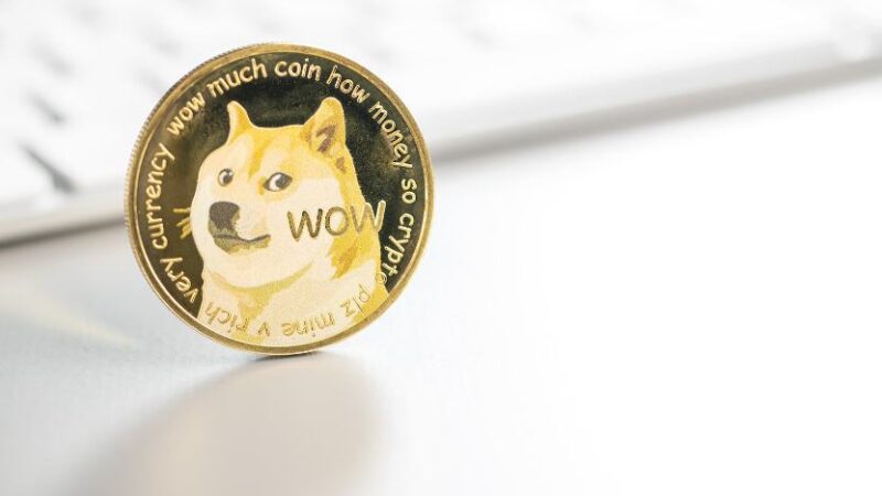 From Meme to Marvel – Dogecoin, A Versatile Crypto Asset for Investors