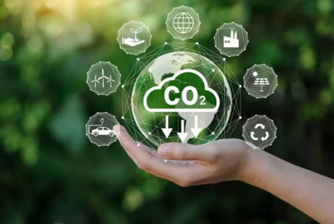Carbon Footprint: Why Every Company Should Keep Track Of It